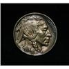 1938-d/d Rare variety Buffalo Nickel 5c Grades Gem Uncirculated ms65++ PQ