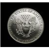 Image 2 : 1996 Silver Eagle, one of the KEYs to the Series