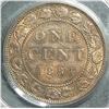 Image 2 : Cent 1884, graded PCGS MS-64; Red & Brown. Not noted; Obverse 2.