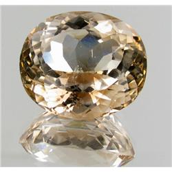 22.05ct Natural Yellow Topaz Appr Est $22k (GEM-24752)
