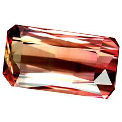 2.72ct Party Color Tourmaline  (GEM-28555)
