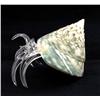 Hand Formed Glass Hermit Crab (DEC-382)