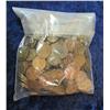 Image 2 : 1018. (300) Unsearched Wheat Cents.