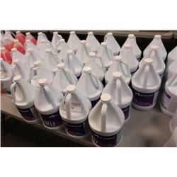 23 JUGS OF AVMOR WHIZ CARPET PROTECTOR