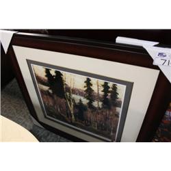 LIMITED EDITION PRINT