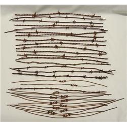Collection 30 Pieces Antique Barb Wire