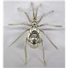 Image 1 : Navajo Silver Spider Pin by Effie Garfield