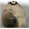 Image 3 : Navajo Bear Claw Pendant Choker Hallmark R. B.