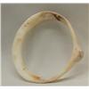 Image 3 : 4 Prehistoric Hohokam Shell Bracelets & 6 Shells