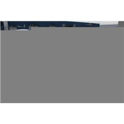 2004 WHITE FORD CROWN VICTORIA POLICE SERIES 4DR