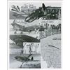 Image 1 : Flying TIgers
