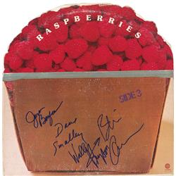 The Raspberries