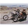 Image 1 : Easy Rider