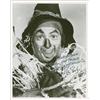 Image 1 : Wizard of Oz: Ray Bolger