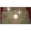 Image 1 : 1999 Platinum Clad State Quarter Set