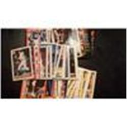 230 Baseball,Football,Basketball Cards
