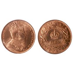 Nfld 1909 1¢ ICCS MS66RD.  Specatcular full red example.