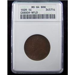 Nfld 1929 1¢ ANACS MS64BN.