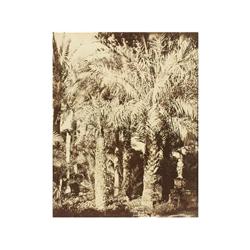 32 Reynoso (XIX)Sevilla, década de 1860.Papel albuminado, imagen 22 x 17 cm, 62 x 47 cm, sello seco