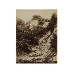 65 Fotografía artística (XIX)Montserrat, Camino de St. Jeroni, nº 236, c. 1880.Papel albuminado, 22