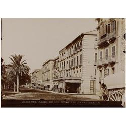 66 Fotógrafo desconocido (XX)7 vistas de Alicante y Elche, c. 1900.Gelatina de plata, 17 x 22 cm, ti