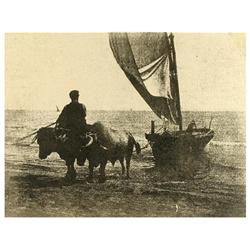 138 Vicente Martínez Sanz (1874-1945)Vigor, década de 1920.Fresson, 16,6 x 22 cm, tiraje de época.60