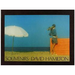 LIBRO: David Hamilton. 2 libros. Las obras son: Mädchen in meinen augen, de Gunter Sachs; y Souvenir
