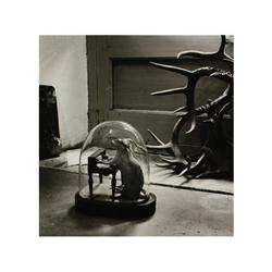 1024 Joan Fontcuberta (1955)Sin título, serie Animal-Trouvé, 1980., 1981.Gelatina de plata, 26 x 26