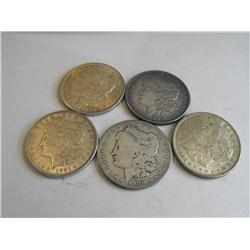 Lot of 5 Circulated Morgans