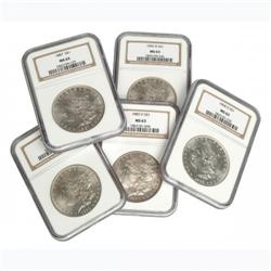 Lot of 5 MS 63 Morgans ( no 21's)
