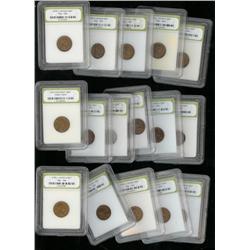 (50) Slabbed Early Wheat Cents - Circulated