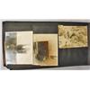 Image 4 : C. 1920'S PHOTO ALBUM W/ APPROX. 183 PHOTOS - Incl