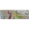Image 2 : C. 1950 MAGNUS JUNIOR ACCORDION TOY W/ BAKELITE EN