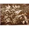 Image 2 : LOT OF 4 VINTAGE WW2 GERMAN NAZI GRAVE PHOTOS