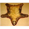 Image 1 : VINTAGE BEAR RUG - Approx. 57" long by 53" wide.