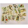 Image 1 : LOT OF VINTAGE CIGARETTE / TOBACCO CARDS - BIRDS