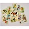 Image 2 : LOT OF VINTAGE CIGARETTE / TOBACCO CARDS - BIRDS