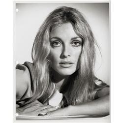 Sharon Tate production key book portraits from The Wrecking Crew