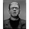 Image 1 : Boris Karloff camera negative from Bride of Frankenstein by Jack Freulich