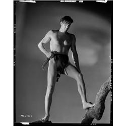Johnny Weissmuller camera negative from Tarzan and His Mate by Harvey White