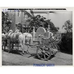 ­­­Edward Carfagno collection of original stills from various films as set references for Ben-Hur
