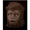 Image 1 : Screen-worn gorilla background mask from Planet of the Apes