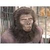 Image 2 : Hero Gorilla tunic from Planet of the Apes