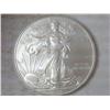 Image 1 : 2009 AMERICAN SILVER EAGLE (UNC)