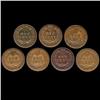 Image 2 : 1889 Indian Cent Lot of 7 Hi Grade (COI-7502)