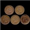 Image 1 : 1888 Indian Cent Lot of 5 Hi Grade (COI-7498)