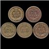 Image 2 : 1863 Indian Cent Lot of 5 Circulated (COI-7455)