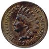 Image 1 : 1901 Indian Cent Uncirculated MS66+ RB (COI-7515)