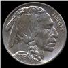 1919 Buffalo Nickel RARE MS66+ (COI-7720)