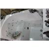 Image 2 : WALK IN THERAPEUTIC TUB WITH CONTROLS